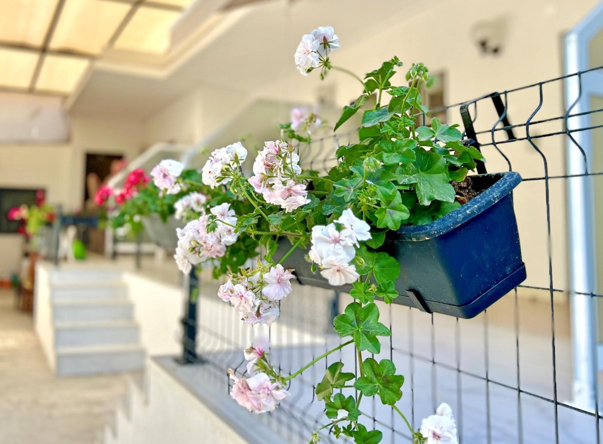 Guest House Julia Stavros  Exteriér fotografie
